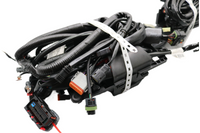 
              70269-10 NEW OEM 2010 HARLEY-DAVIDSON FLHTP ELECTRA GLIDE WIRING HARNESS W/ABS
            