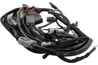 
              70125-05 NEW OEM 2005 HARLEY-DAVIDSON VRSCA/B VROD MAIN WIRING HARNESS
            