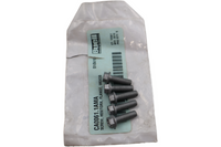 
              CA0061.1AMA NEW OEM BUELL SCREW HEX/TORX FLANGE M6X20
            