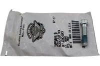 
              10500110 NEW OEM HARLEY-DAVIDSON CUST HEX SKT ZINC/LOCK SCREW 10500110
            