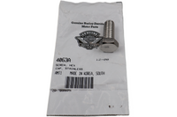 
              4063A NEW OEM HARLEY-DAVIDSON SCREW HEX CAP STAINLESS 1/2"-13 X 1-1/8"
            