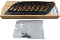 
              5030955AA NEW OEM 2008-2010 DODGE VIPER SRT-10 ACR AIR INLET HOOD SCREEN
            