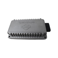 
              76001131 OEM NTO 2024-2025 HARLEY-DAVIDSON TOURING ROCKFORD FOSGATE 200W AMPLIFIER
            
